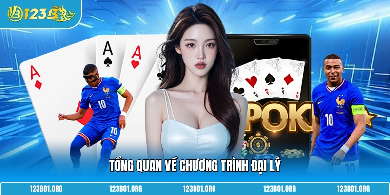 Tổng quan về chương trình đại lý 